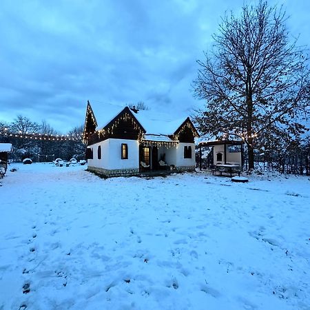Cuib Din Fagaras Villa Felek Kültér fotó