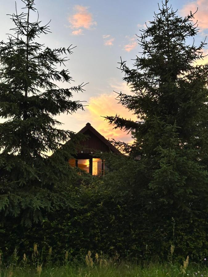 Cuib Din Fagaras Villa Felek Kültér fotó