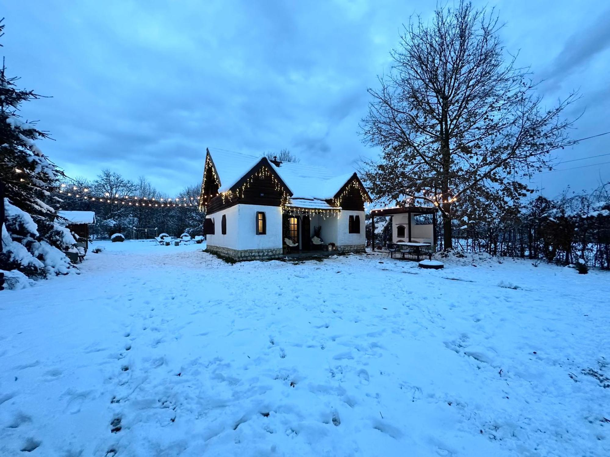 Cuib Din Fagaras Villa Felek Kültér fotó